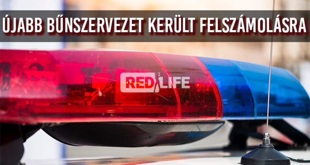 Berlinben kényszerítettek erotikus munkára magyar