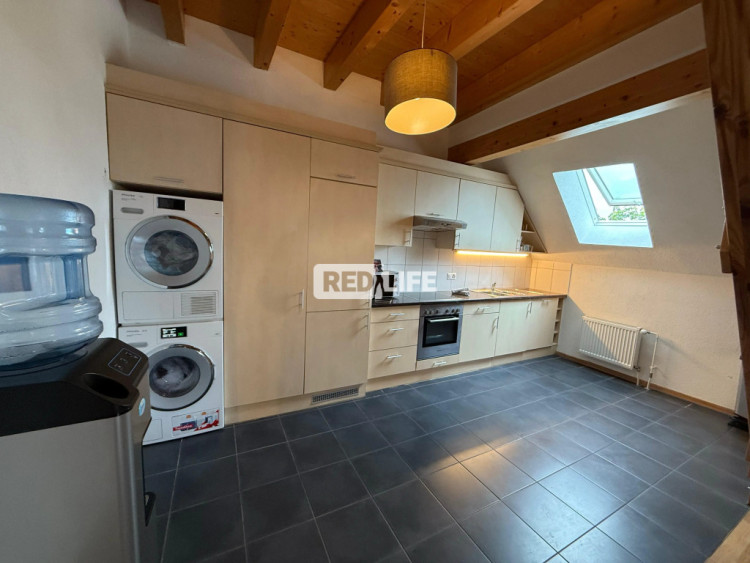 Apartman napi leadó női tulajdonos