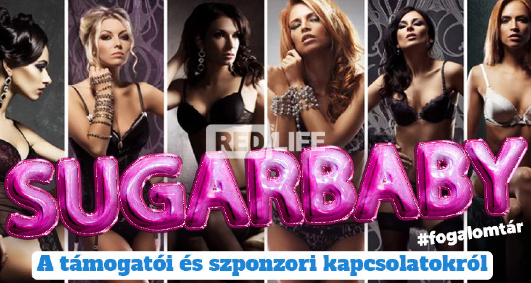 Bővebben a támogatói kapcsolatokról, a